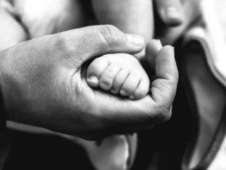 Fertility Specialist in Gauteng