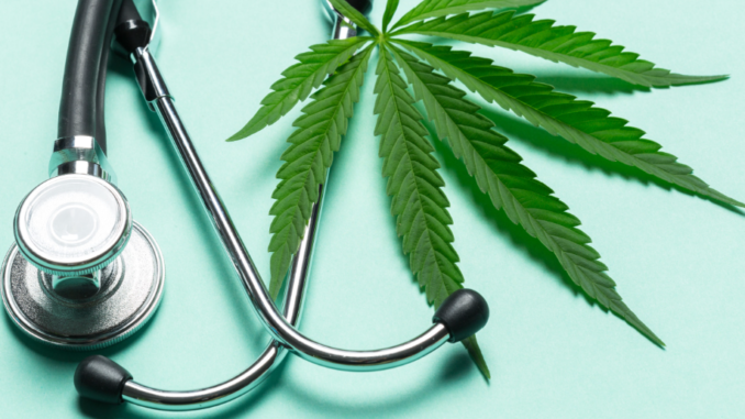 medicinal cannabis NZ