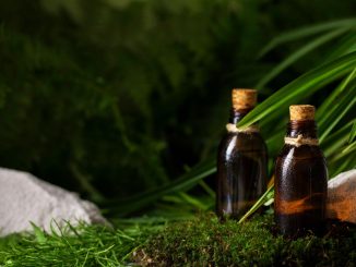 Essential oil suppliers in South Africa